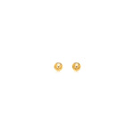 14k Yellow Gold Polished Round Stud Earrings(3mm)