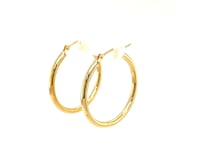 10k Yellow Gold Polished Hoop Earrings (25 mm)