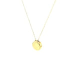 14k Yellow Gold Necklace with Dog Paw Print Symbol in Mother of Pearl